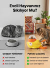Pativex İnteraktif Ödül Mama Oyuncağı 2
