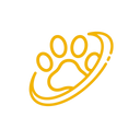 Özellik 6